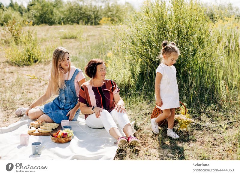 Eine Großmutter und ihre beiden Enkeltöchter machen ein Picknick in der Natur und verbringen am Wochenende Zeit miteinander Familie Sommer Kind Park Kindheit