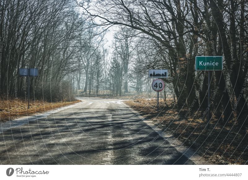 eine alte Herbstliche Landstraße in Polen Natur Menschenleer Landschaft Baum Straße Farbfoto Außenaufnahme Tag Umwelt Wege & Pfade Verkehrswege Allee Asphalt