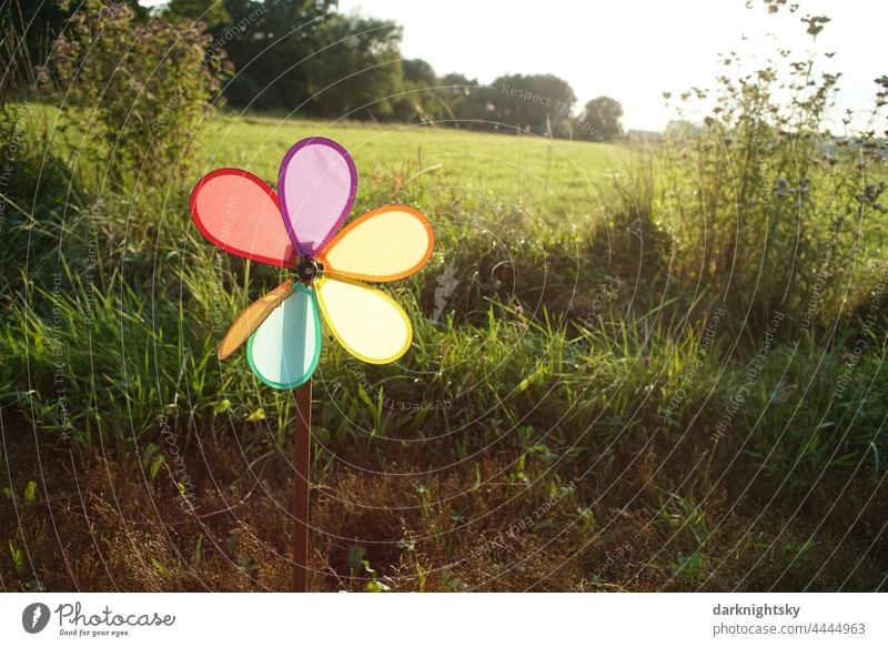 Buntes kleines Windrad vor einer grünen Wiese bei Gegenlicht, Spielzeug als Metapher Windkraft Ökologie Umwelt erneuerbare Energien Freude Natur Regenbogen