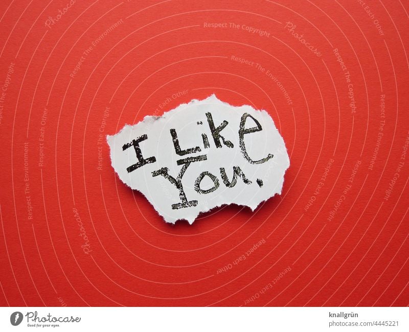 I like you. mögen Freundschaft Sympathie Liebe Gefühle Freunde Zusammensein Lebensfreude Partnerschaft Vertrauen Geborgenheit Glück Frühlingsgefühle Farbfoto