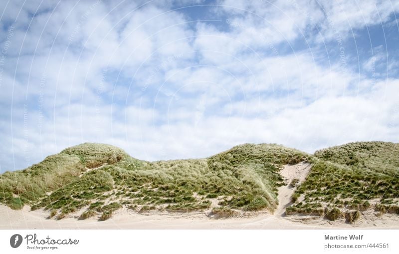 The Dunes II Ferien & Urlaub & Reisen Ausflug Abenteuer Sommer Sommerurlaub Strand Natur Landschaft Himmel Hügel Düne Dünengras Faraid Head Schottland