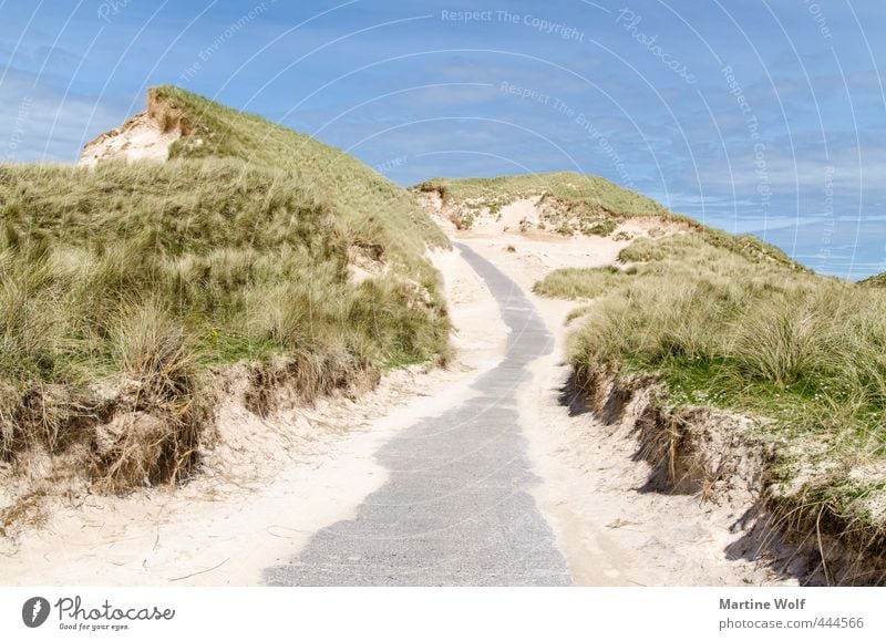 The Dunes Ferien & Urlaub & Reisen Ausflug Sommer Sommerurlaub Strand Natur Landschaft Sand Düne Dünengras Faraid Head Schottland Großbritannien Europa Straße