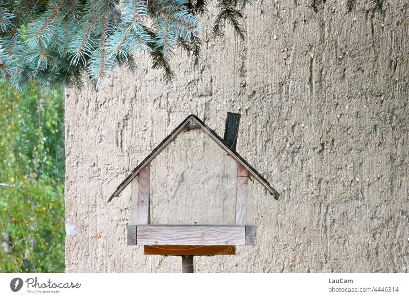 Leerstand - alle sind ausgeflogen Haus leeres Haus Verlassenes Haus verlassenes Gebäude Vogelhäuschen Vogelhaus Wohnung Wohnungssituation Wohnungsnot