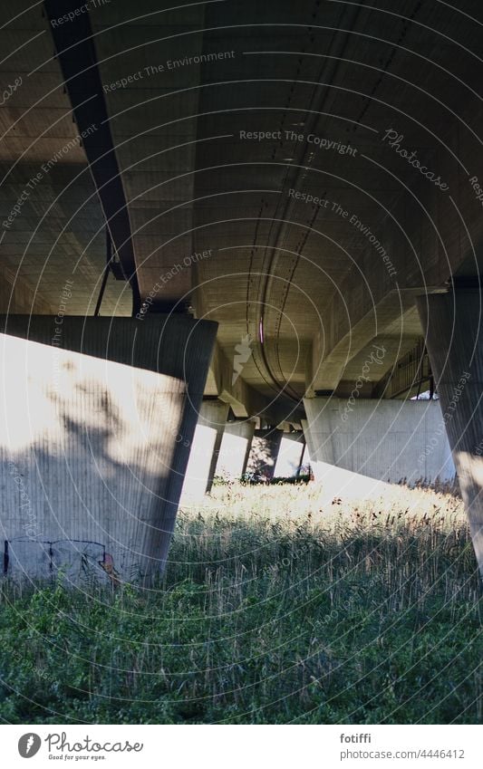 Licht trotz Grau in Grau unter der Autobahn grau Beton leicht schwer Menschenleer Schatten Kontrast Bauwerk Straße unten Gedeckte Farben gewaltig Brücke