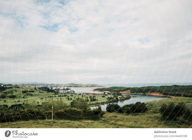 Wiesen mit grünen Bäumen gegen Meer unter bewölktem Himmel MEER wolkig Natur Umwelt Landschaft Hügel Ökologie vegetieren Baum Atmosphäre Horizont Nordspanien