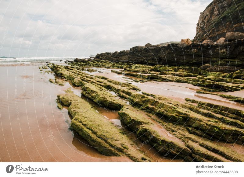 Klippe an der Meeresküste unter bewölktem Himmel Meeresufer wolkig Hochland Natur Geologie Landschaft Moos massiv reflektieren Felsen Küste MEER nass Wasser