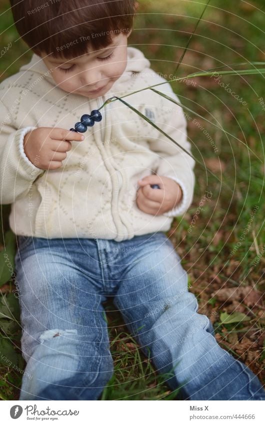 Heidelbeeren Lebensmittel Frucht Ernährung Essen Picknick Bioprodukte Spielen Ausflug Mensch Kleinkind Junge 1 1-3 Jahre 3-8 Jahre Kind Kindheit sitzen frisch