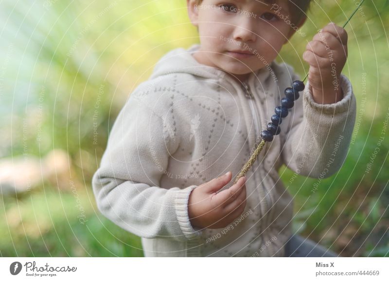 Heidelbeer-Picknick Lebensmittel Frucht Ernährung Bioprodukte Freizeit & Hobby Spielen Mensch Kind Kleinkind Junge 1 1-3 Jahre 3-8 Jahre Kindheit Natur Sommer