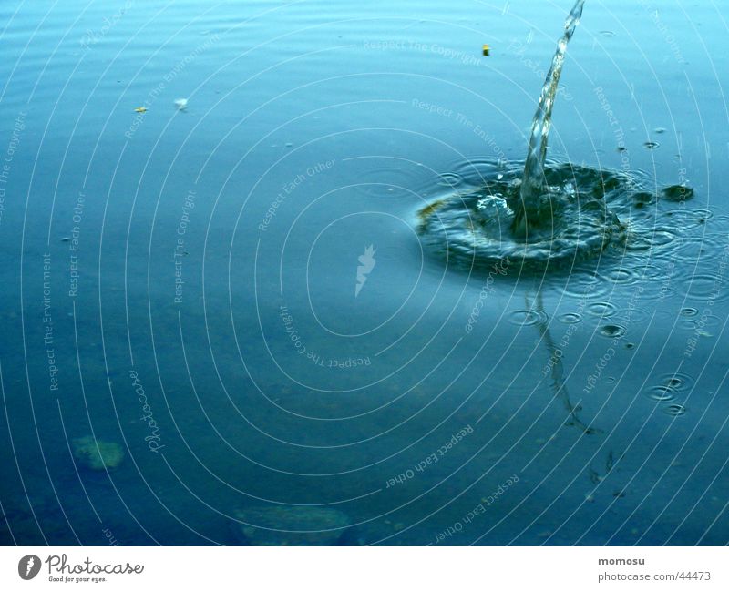 und es hat "platsch" gemacht Teich spritzen Oberfläche Wasser Wassertropfen Kreis