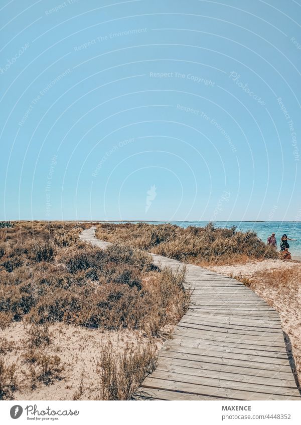 Holzpfad für eine Wanderung auf einer einsamen Insel an der Algarve - Ilha Deserta Natur Sand Landschaft wandern Weg Faro Holzweg Wüsteninsel