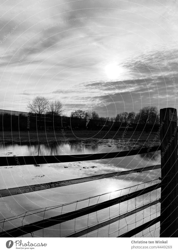 Eine eingezäunte und überschwemmte Pferdekoppel. Im Wasser spiegeln sich kahle Bäume und die Wintersonne am leicht bewölkten Himmel Überschwemmung Pfütze Wiese