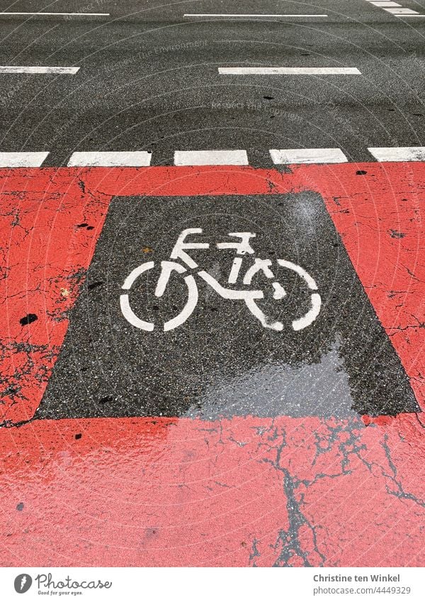 Nasser roter Fahrradweg mit Fahrrad Piktogramm Zeichen Schilder & Markierungen Hinweis nass Regenwetter Verkehrswege Wege & Pfade Straße Asphalt