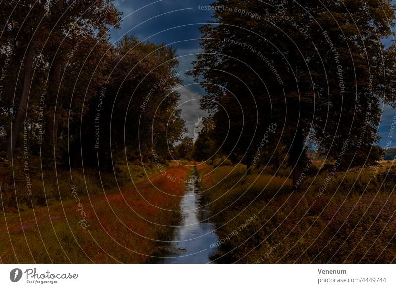 Herbstfarben, kleiner Fluss zu Beginn des Herbstes in Deutschland, Herbstlook Flüsse Wasser Wasserreflexionen Wald Wälder Ast Niederlassungen grüne Lunge Blatt