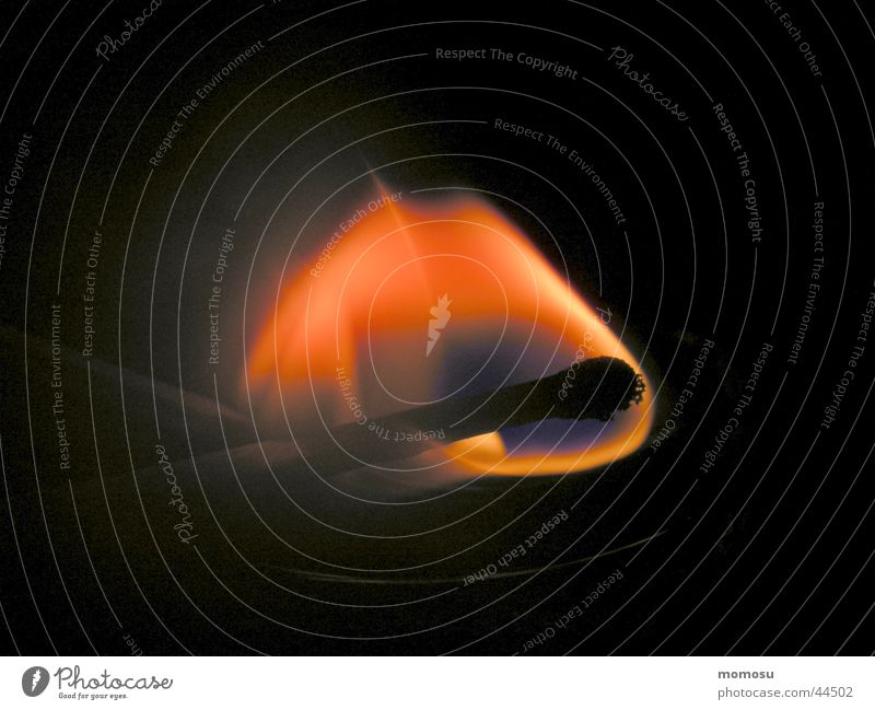 entzunden Streichholz zünden Häusliches Leben Flamme Brand