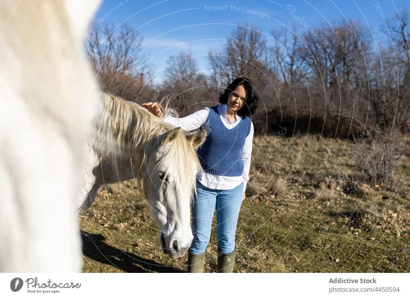 Frau streichelt Pferd Schnauze Tier Erwachsener Kraulen Stehen jung Lächeln Liebe Glück Landschaft Freizeit Hobby Sonnenlicht Lifestyle Streicheln Maul