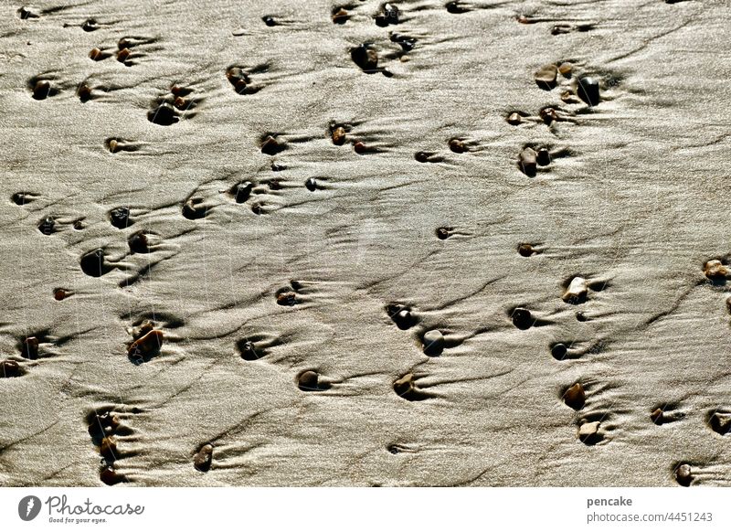 eingekerbt im strom | der ewigen gezeiten | momentaufnahme. Sand Strand steine Muscheln Ebbe Wasser Meer gezogen Muster Ewigkeit Gezeiten Momentaufnahme strömen