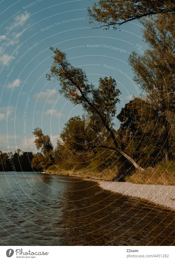 Isar Fluss Natur Wasser flussufer Bayern deutschland Landschaft Nachhaltigkeit insel baum schräg Himmel Sonne Sommer Erholung Urlaub freizeit Ferien