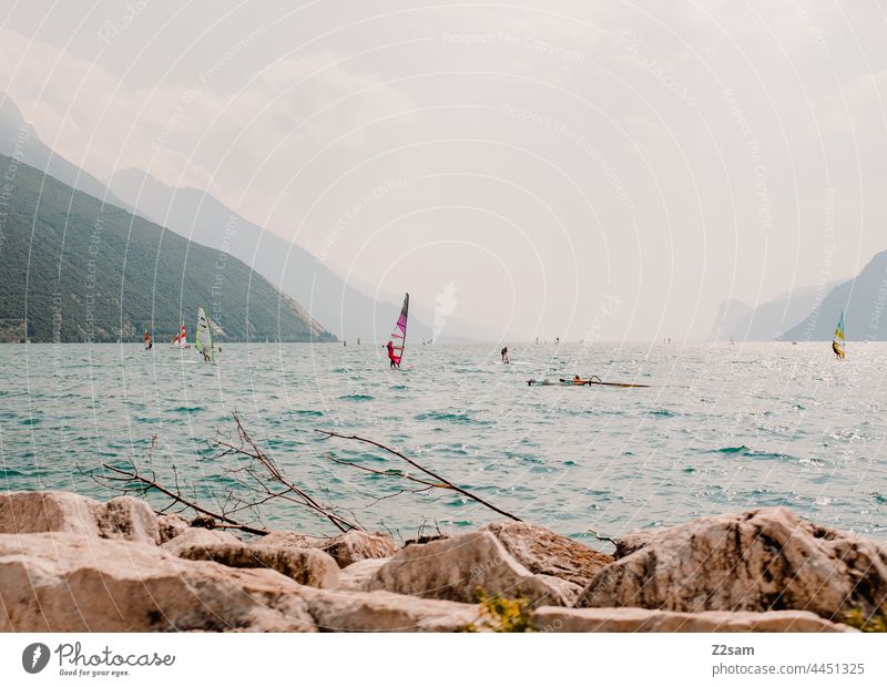 Gardasee / Torbole gardasee Vagination sehen Urlaub Sommer Sonne Wärme mediterran Reise Natur norditalien Erholung freizeit freiheit Landschaft italienisch