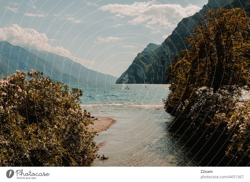 Gardasee / Riva del Garda gardasee Vagination sehen Urlaub Sommer Sonne Wärme gebirge Berg heben Spiegelung mediterran Reise Natur norditalien Erholung freizeit