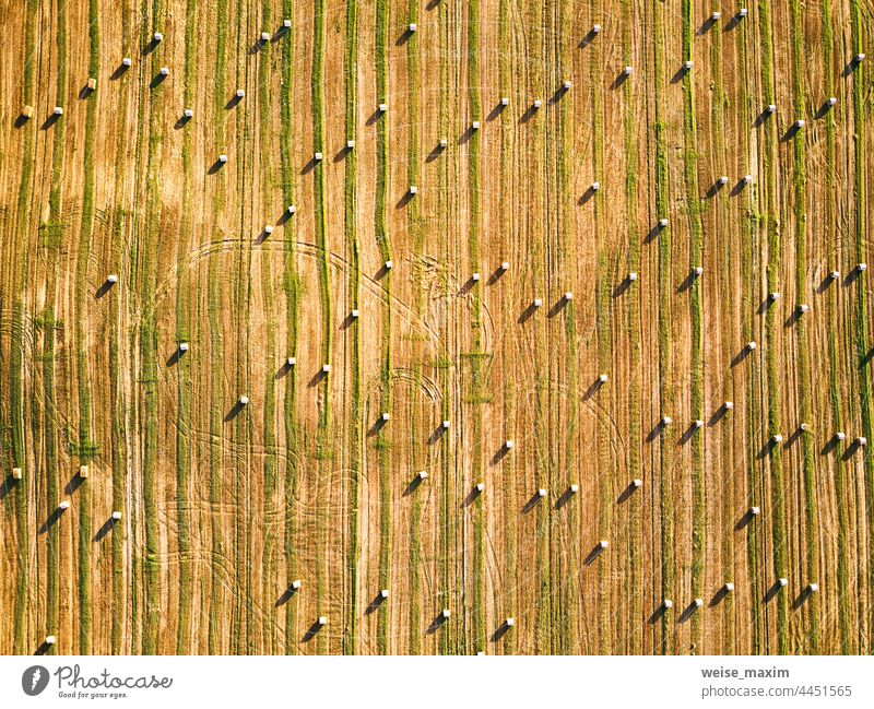 Herbstlandschaft, Strohballen auf landwirtschaftlichem Feld. Heuhaufen Herbst Saison oben Luftaufnahme. Ackerbau Bauernhof Ballen Stapel Müsli Sommer Roggen