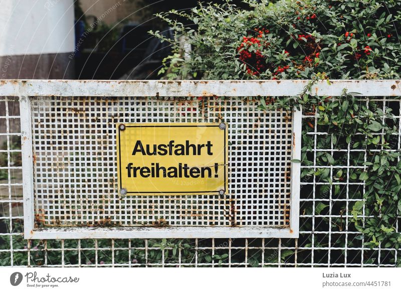 Ausfahrt freihalten verwittert, ein Zierstrauch mit roten Beeren hat sich den Raum dahinter schon erobert Schild verlassen wuchern überwuchert Strauch Wildwuchs