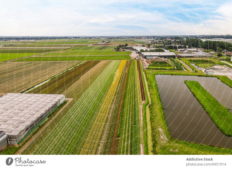 Landwirtschaftliche Plantagen und ländliche Häuser auf dem Lande Ackerbau Feld kultivieren Schonung Landschaft Dorf Bauernhof Agronomie wachsen Gebäude