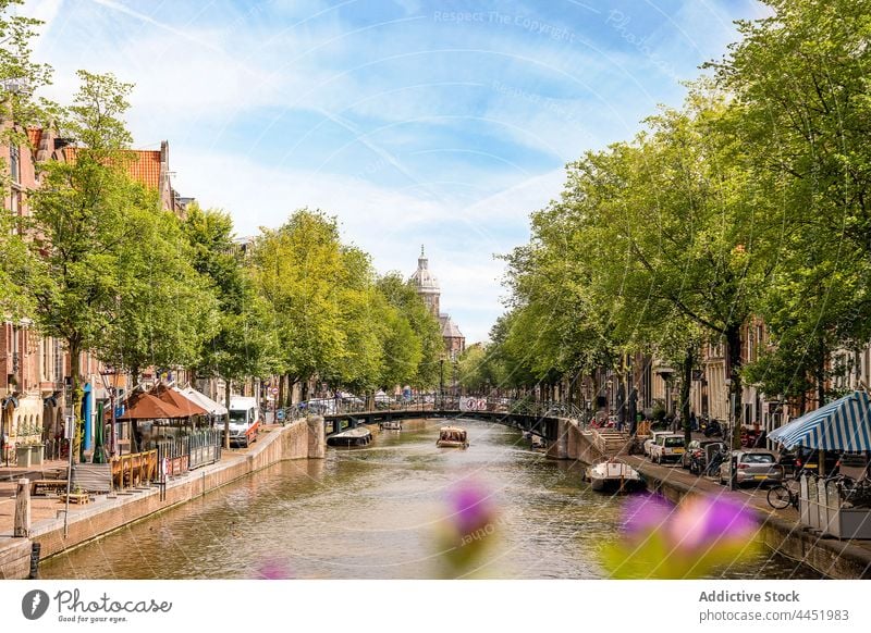 Alter Stadtkanal zwischen Bäumen und Gebäuden Brücke Kanal Großstadt alt Revier historisch Architektur Wasserstraße strömen fließen Straße wohnbedingt Baum Boot