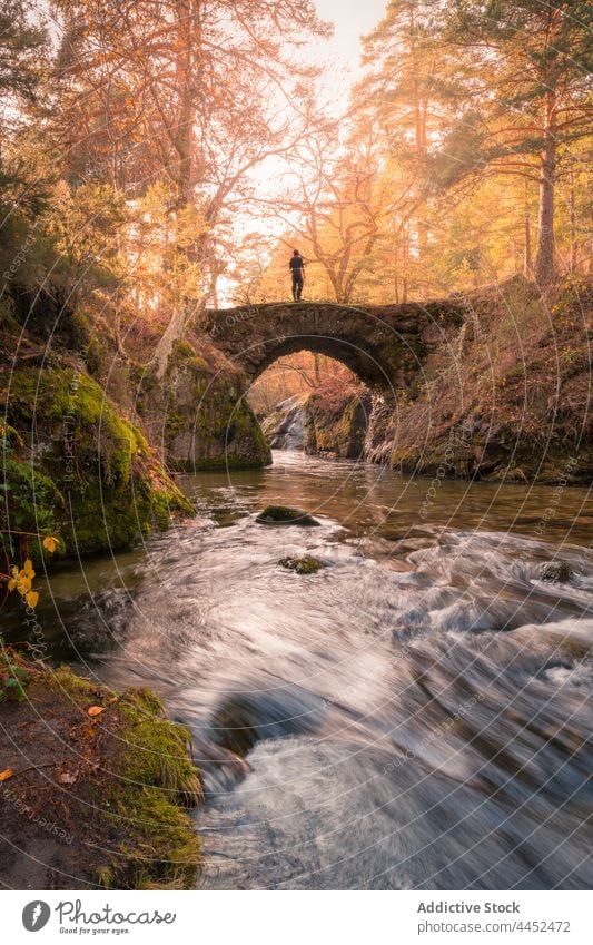 Mann steht auf einer Brücke über einen Fluss im Herbstpark bei Tag Stein Natur Park Wasser Felsen Saison männlich sierra de guadarrama Spanien Umwelt Landschaft