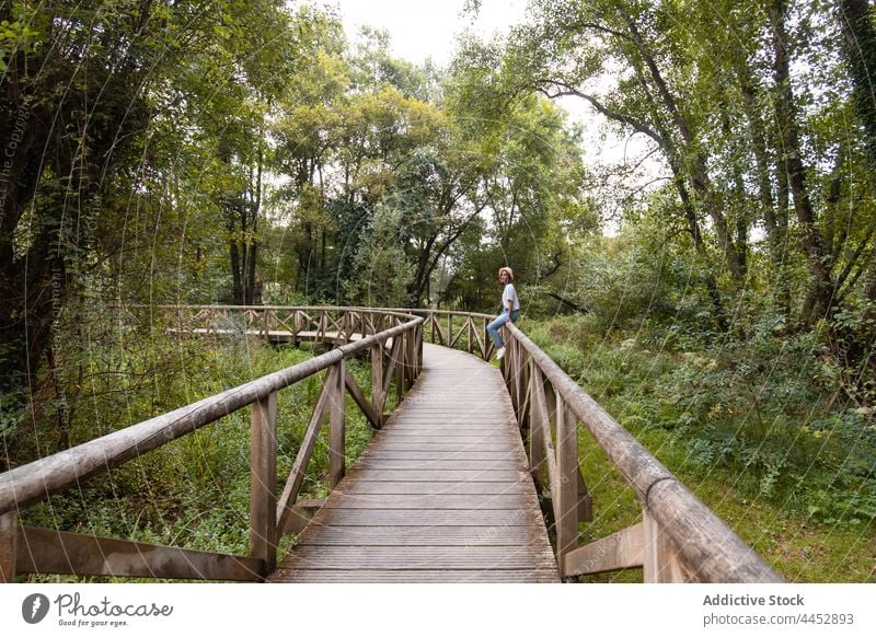 Frau betrachtet grüne Bäume von einer Fußgängerbrücke im Sommer Steg Baum nachdenken Natur Landschaft Umwelt Ökologie Route Regie Zaun natürlich Material Strahl