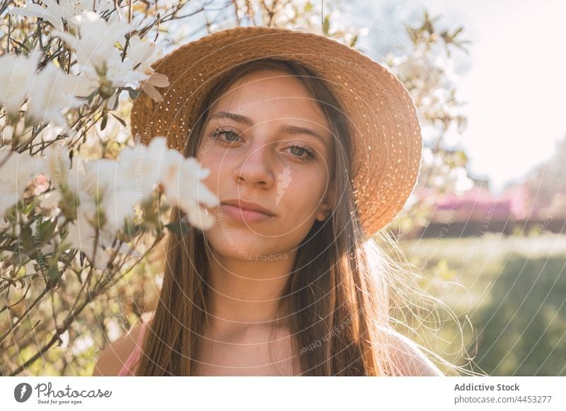 Romantischer Teenager neben einer blühenden Blume im sonnigen Park Strauch romantisch natürlich rein sanft Aroma charmant Blütezeit Angebot urban Wittern Flora