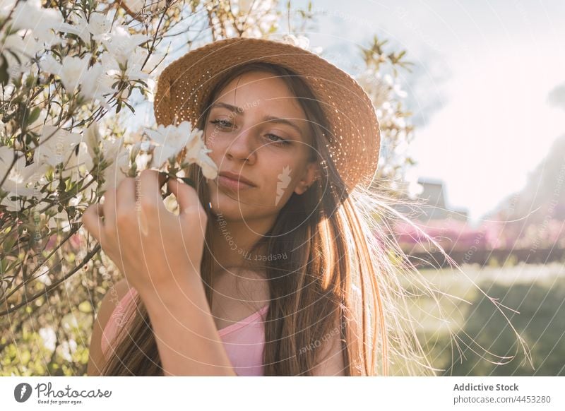 Romantischer Teenager berührt blühende Blume im sonnigen Park Strauch romantisch natürlich rein sanft Aroma charmant Blütezeit Angebot urban Wittern Flora