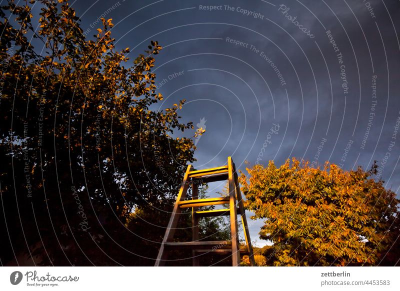 Apfelbaum, Leiter und Kirschbaum am Abend abend ast dunkel dämmerung erholung erwachen ferien garten himmel kleingarten kleingartenkolonie knospe menschenleer