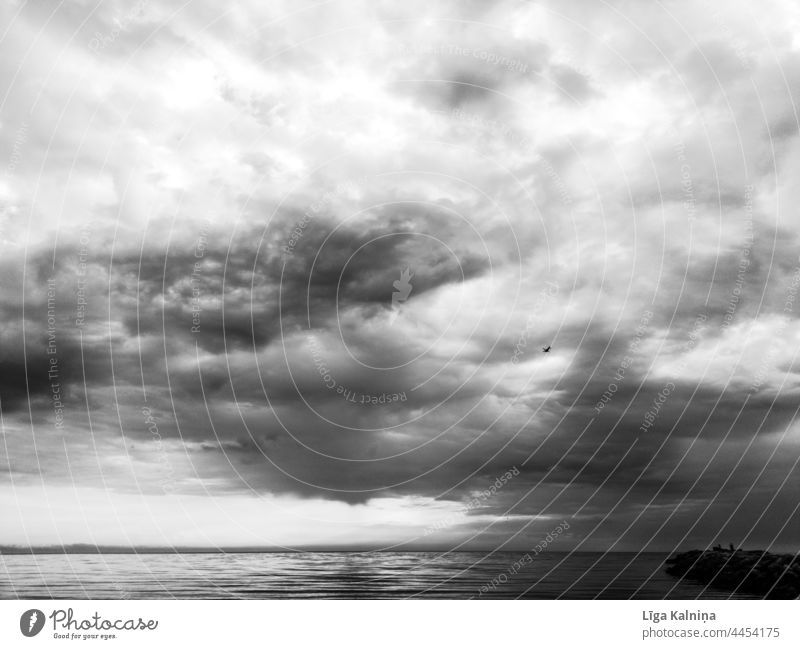 Himmel in Schwarz und Weiß Wolken Wetter Wolkenhimmel Natur Landschaft Wolkenformation Wolkendecke Klima Sonnenlicht Schwarzweißfoto Meereslandschaft Wasser