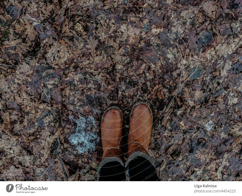 Hohe Winkelansicht von Stiefeln und Laub, Herbstblätter Blätter Herbstlaub Herbstfärbung Laubwerk herbstlich Natur Blatt Herbststimmung Herbstwetter