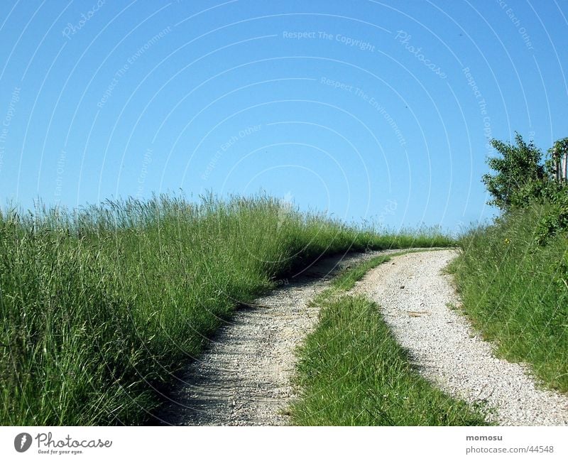 weg ins blau Wiese Gras Feld Fußweg Straße Wege & Pfade Himmel Spuren