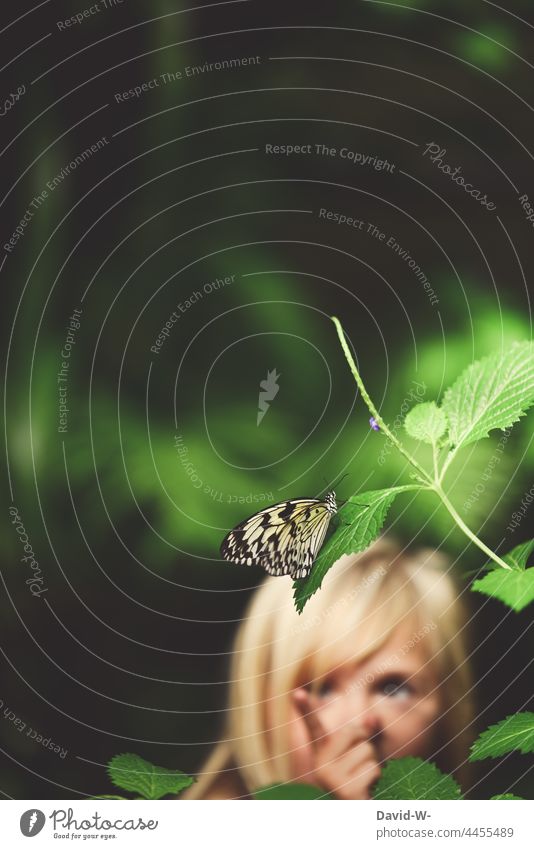 Kind entdeckt einen Schmetterling Entdeckung fasziniert begeistert Tier interessiert beobachten erkunden Natur Mädchen neugierig niedlich