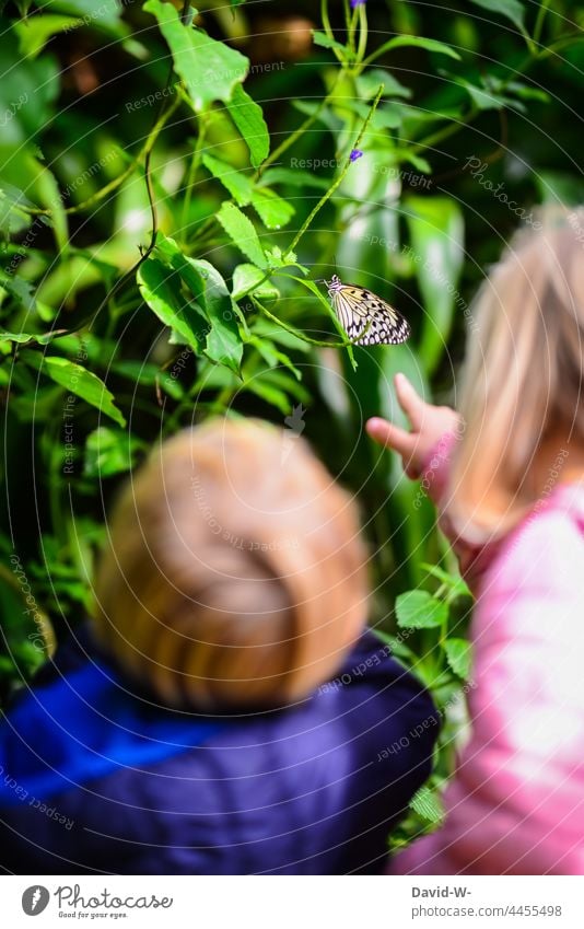 große Schwester zeigt kleinem Bruder die Welt Geschwister Fürsorge gemeinsam Zusammenhalt Mädchen Junge niedlich Schmetterling Kindheit erklären zeigen