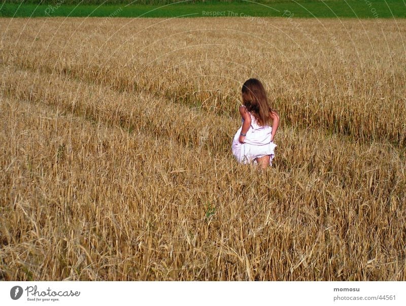 auf und davon Feld Kind Gras Kleid Getreide Korn Haare & Frisuren laufen Flucht Sommer