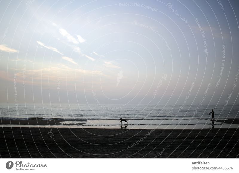 Gassi gehen am Meer Nordsee Horizont Wasser Himmel blau Außenaufnahme Farbfoto Wellen Küste Natur Landschaft Strand Ferien & Urlaub & Reisen Ferne Tourismus