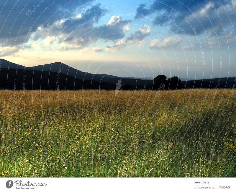 abendlicht Wiese Gras Wolken Stimmung Sonnenuntergang Berge u. Gebirge Himmel Abend