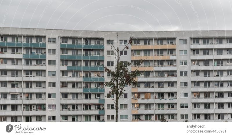 Trostloser kleiner Baum vor einem großen Wohngebäude allein anonym Appartement Wohnhaus Architektur Herbst Balkon Wohnblock Gebäude Großstadt Stadtbild Cloud