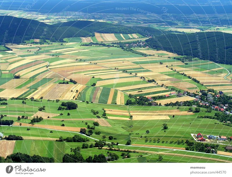 weitsicht Feld Wiese Wald Aussicht Panorama (Aussicht) Vogelperspektive Berge u. Gebirge überblicken Ferne groß