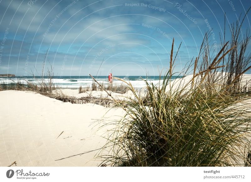 ein strand in einem land Ferien & Urlaub & Reisen Ausflug Ferne Freiheit Sommer Strand Meer Wellen Umwelt Natur Landschaft Himmel Gras Sträucher genießen liegen