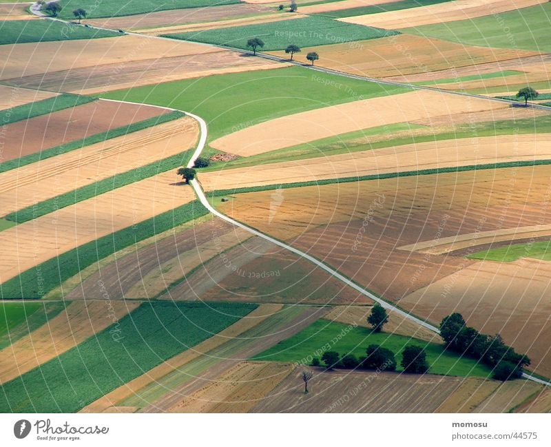 vogelperspektive Feld Baum Vogelperspektive Straße Wege & Pfade