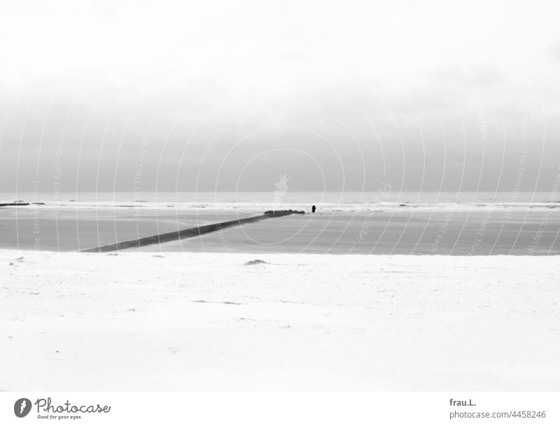 Am Meer alte Dame einsam gebeugt Hut Mantel Handtasche Mensch allein Fotomontage Montage gehen Abenteuer mutig neugierig Nordsee Winter Schnee Strand