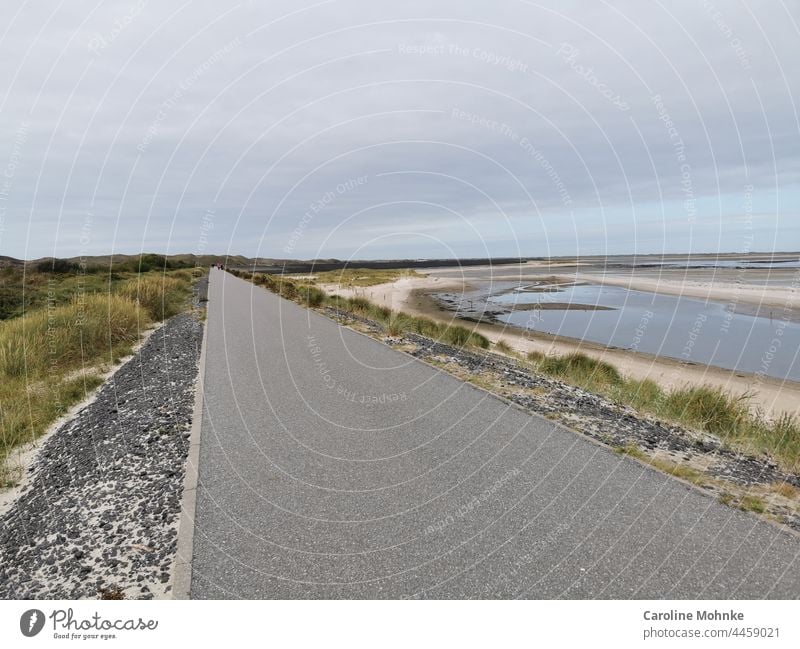 Ein langer Weg in Sylt Horizont Meer Strand Ferien & Urlaub & Reisen Nordsee Himmel Außenaufnahme Menschenleer Farbfoto Insel Sand Schönes Wetter Erholung Natur