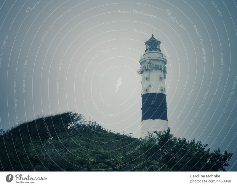 Der Leuchtturm in Kampen an einem nebligen Septembermorgen Licht schwarz weiss Küste Sylt Schifffahrt Meer Ferne Warnhinweis majestetisch Wegweiser Turm Himmel