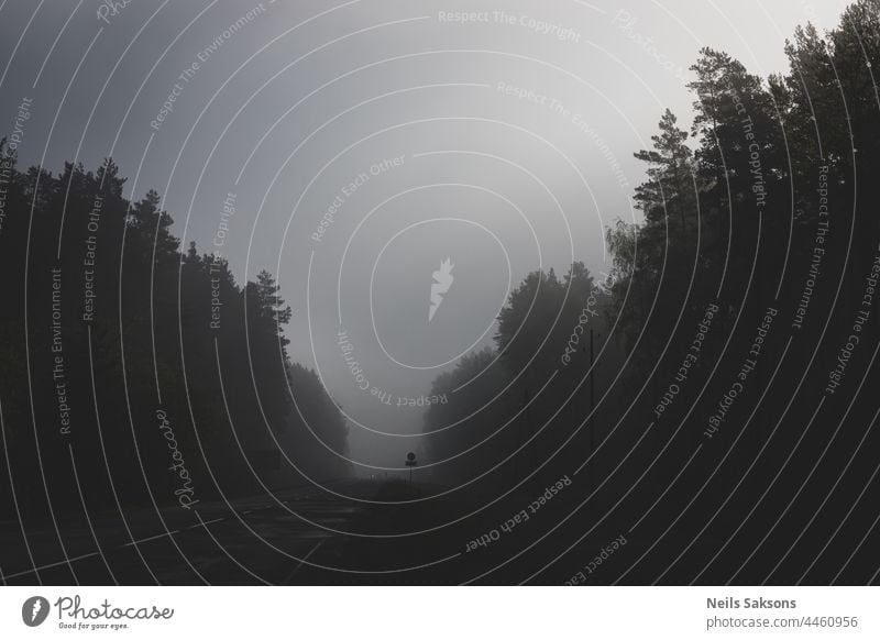 Schwerer Nebel mit schlechter Sicht über Lettlands Waldlandstraße. Gefährliche teilweise ruiniert Asphalt Autobahn in nebligen Morgen Herbst Hintergrund