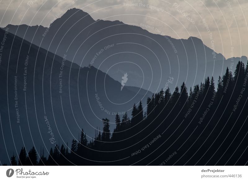 Sonnenuntergang Blau-Schwarz am Königssee Umwelt Natur Landschaft Pflanze Urelemente Sommer Schönes Wetter Baum Wald Hügel Alpen Berge u. Gebirge Gipfel