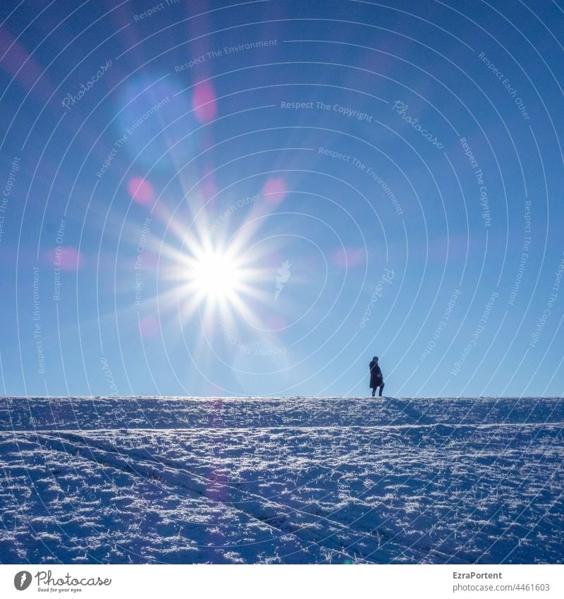 Wintersonne Schnee Mensch Sonne Rodelberg Sonnenlicht blau Spuren kalt Himmel Berge u. Gebirge Landschaft Hügel